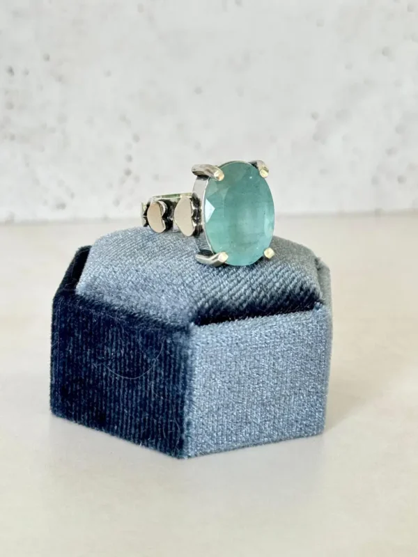 Anillo In Love N° 12