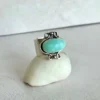 Eco de Hielo N°10,5