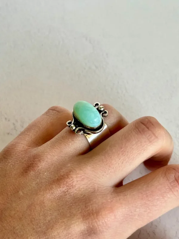 Eco de Hielo N°10,5