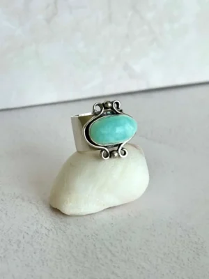 Eco de Hielo N°10,5