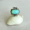 Eco de Hielo N°10,5