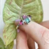 Anillo Turmalina Bicolor N° 15